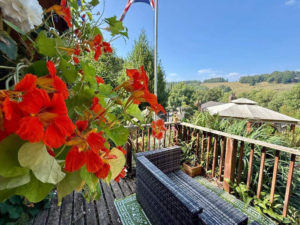 Beautiful garden views