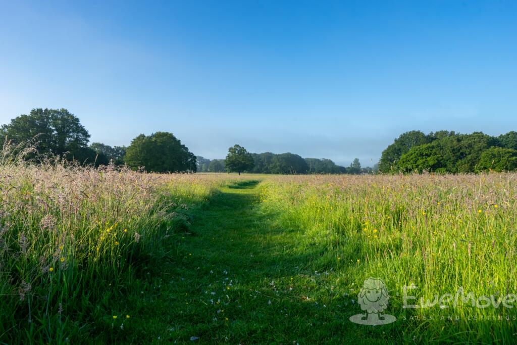 The Common