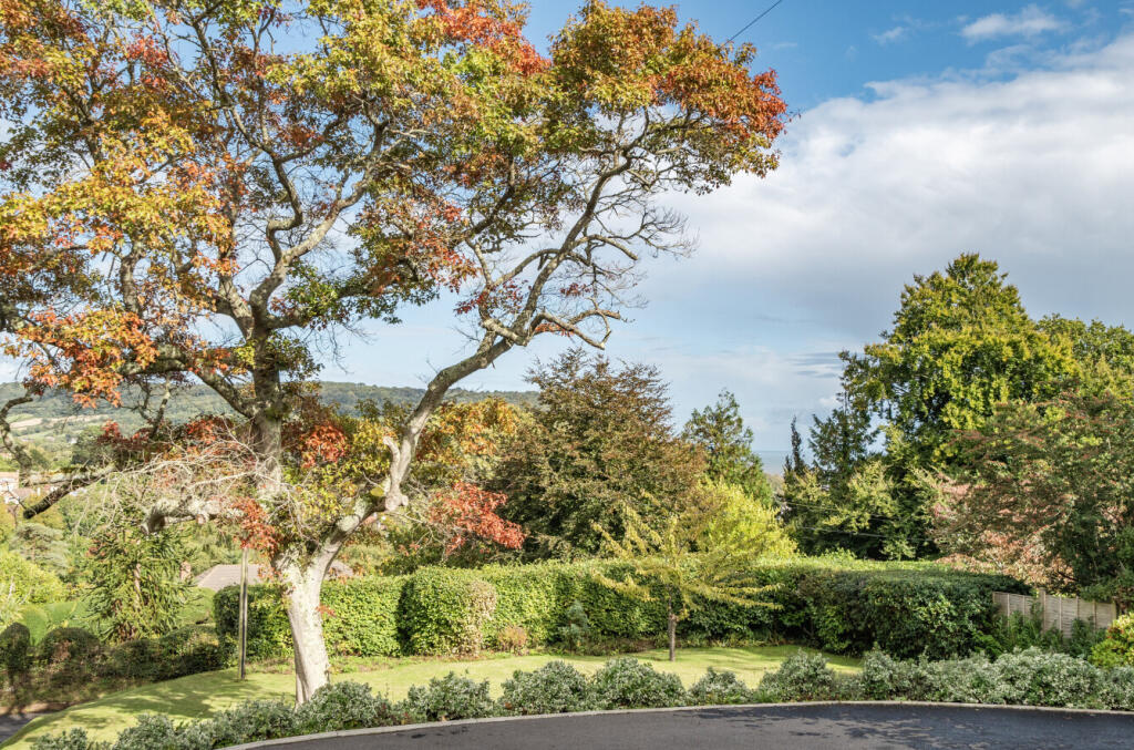 1349715-1-68c2fb0...