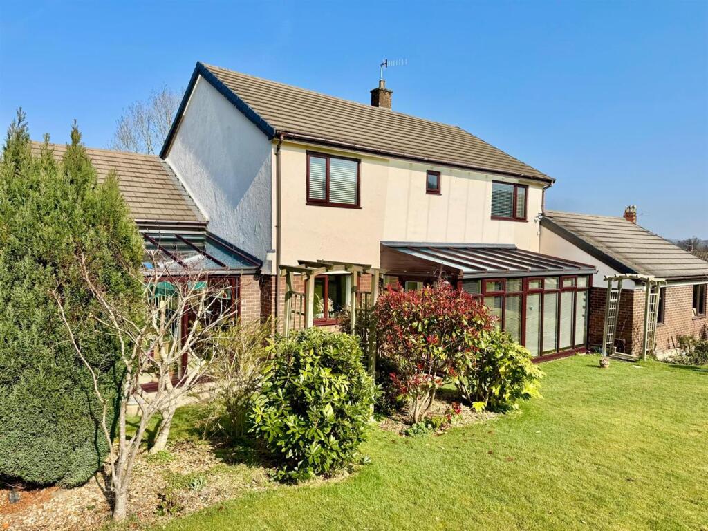 PHOTO-2025-03-24-21-38-34 (4).jpg