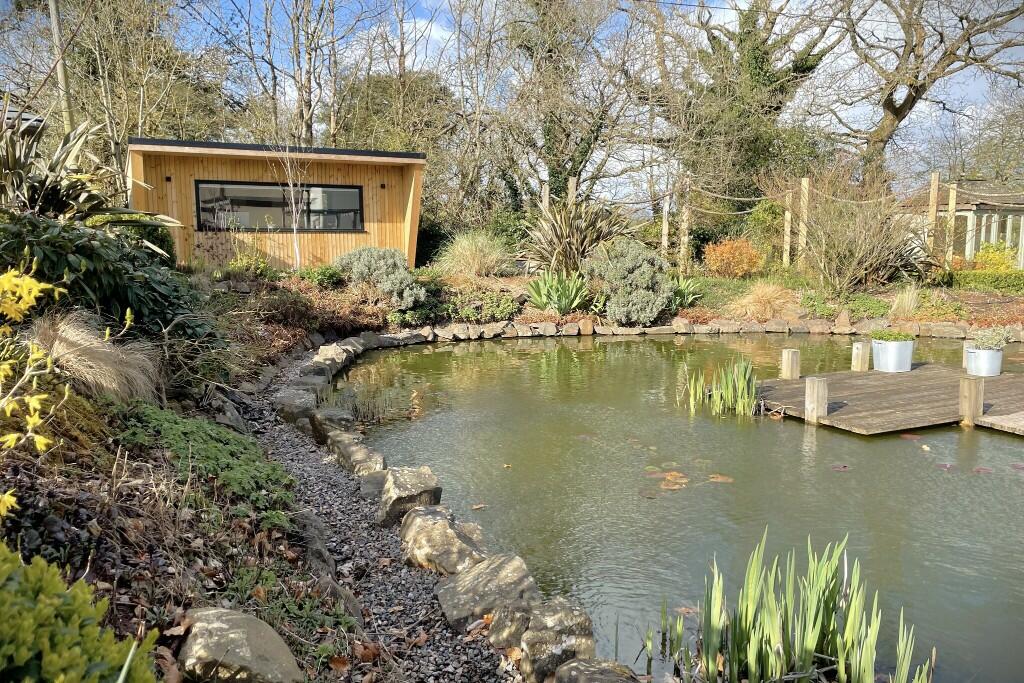 Beautiful pond