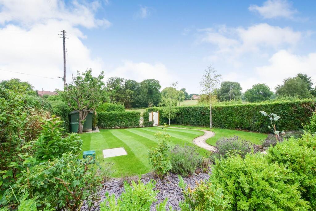 tlc_970c06b0-1f88-4e4c-a946-645b6f54293a_4726319.j