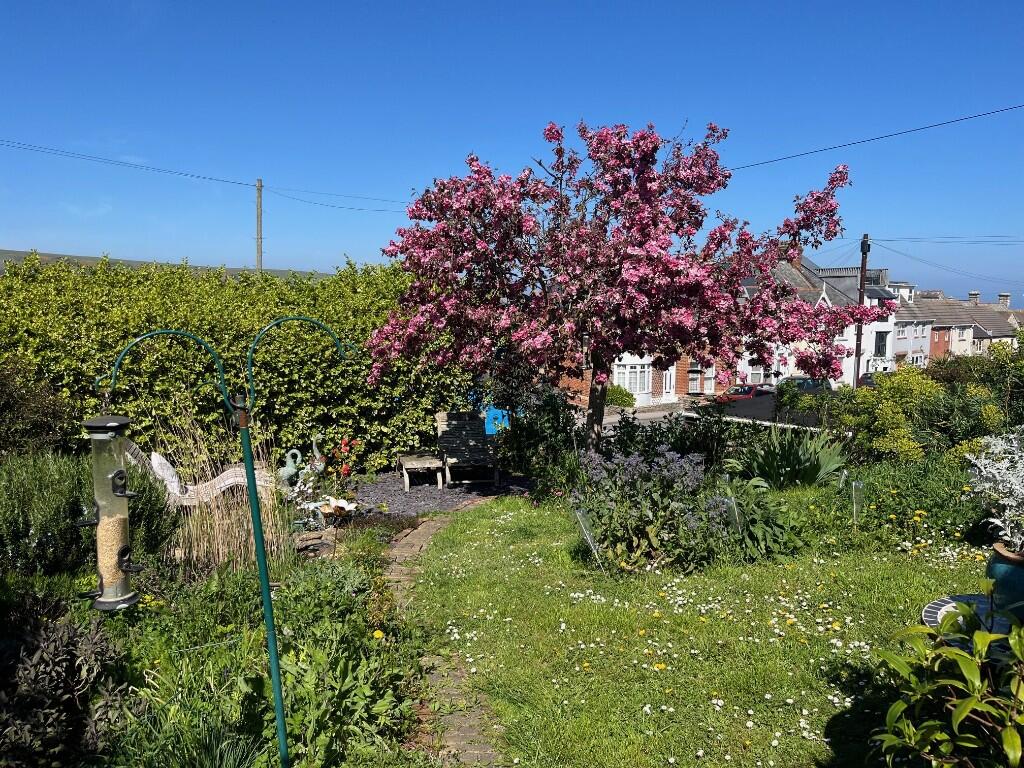 Front garden