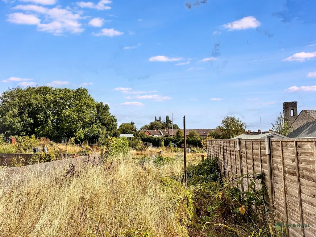 IMG 8006 T202509010935.jpg