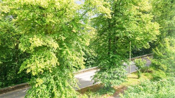 Picture No. 05