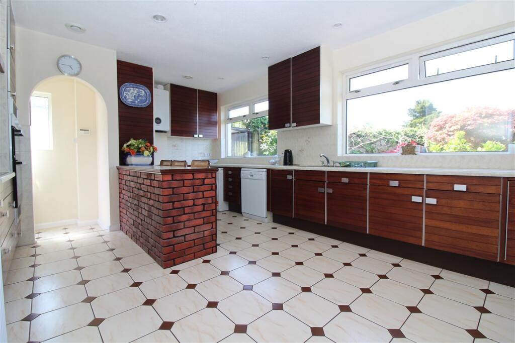 IMG 5403  Medium  T202505231306.jpg