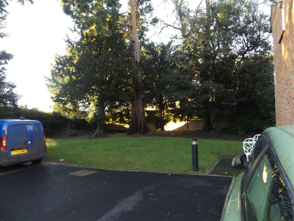 DSCF2505.JPG