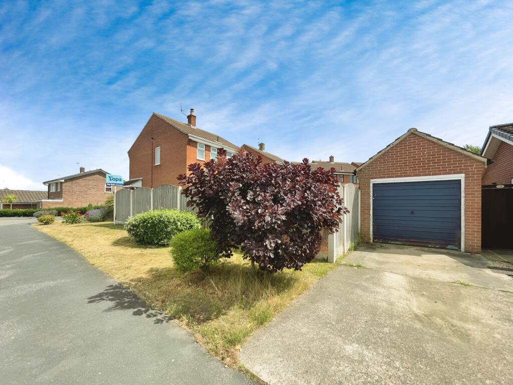 Ed25e82f-thumbnail_IMG_4766