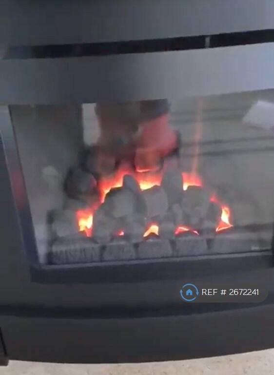 Gas Coal Fire In Lounge