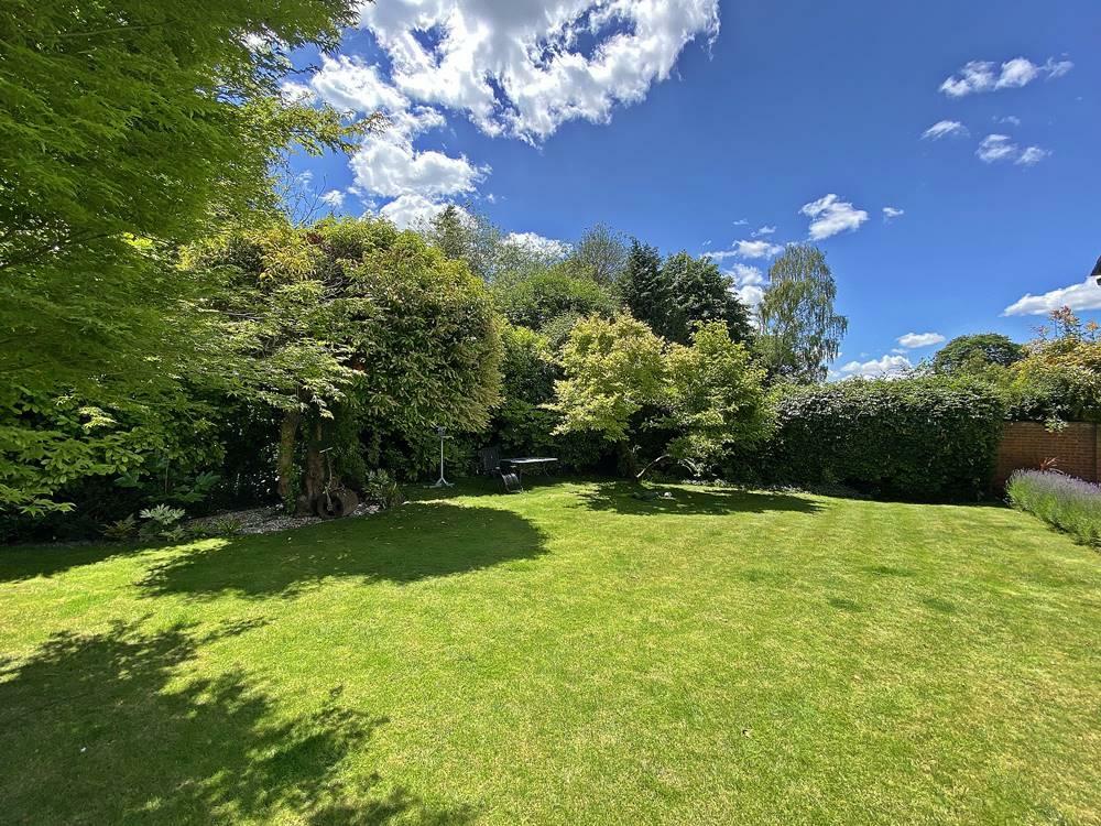 garden2.jpg