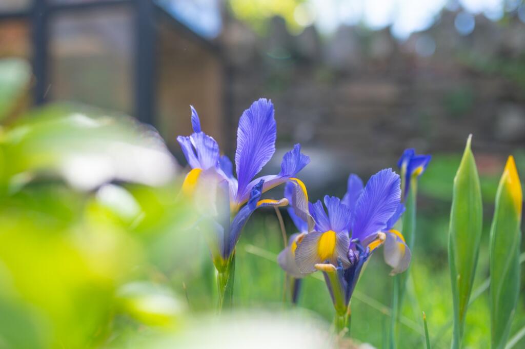 Award-winning Media team on EVERY Listing_1