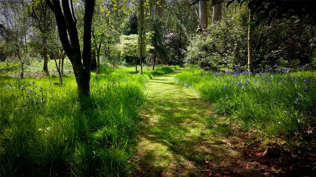 Woodland