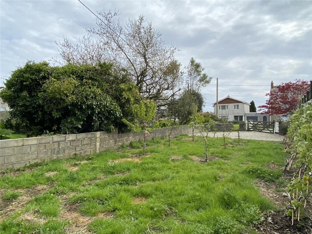 Small Orchard