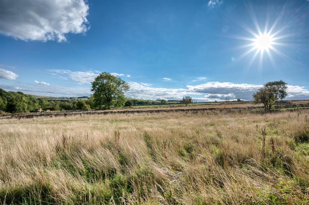 Saxton Mee  40 New Close 0045.jpg