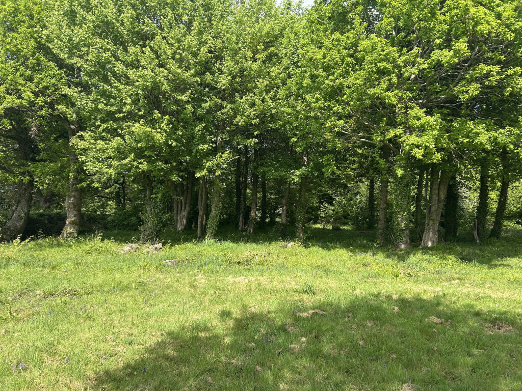 Photo 01-05-2025, 11 34 25