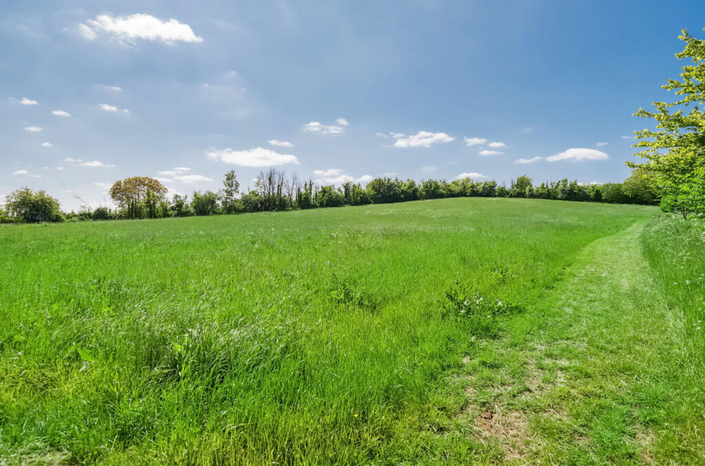 38-681a333d6441b-...