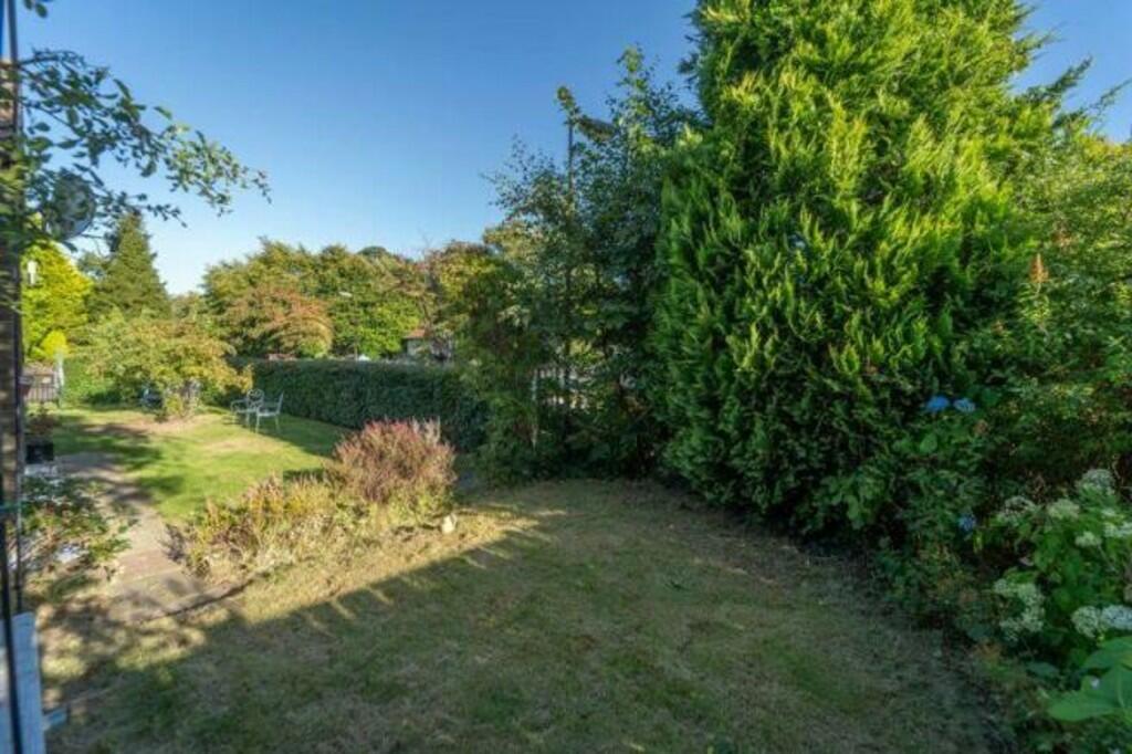 Garden 4