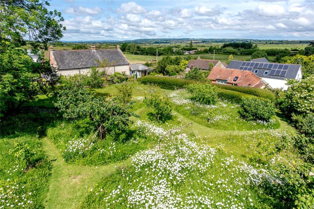 Wildflower Meadow