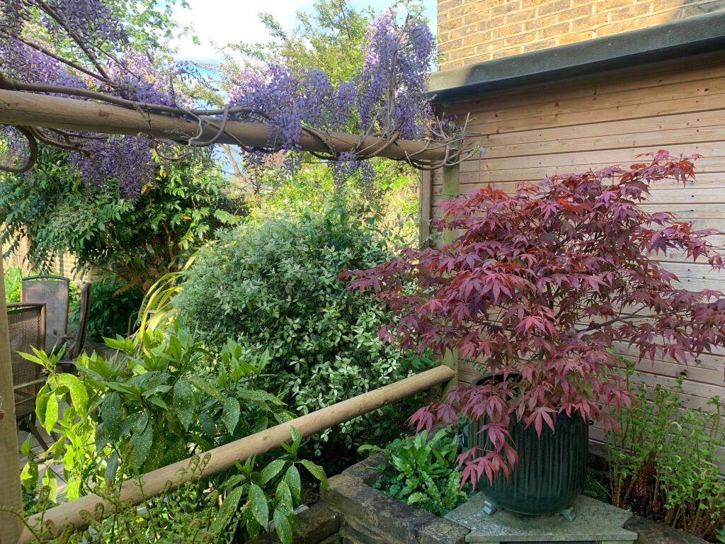 Garden (14)