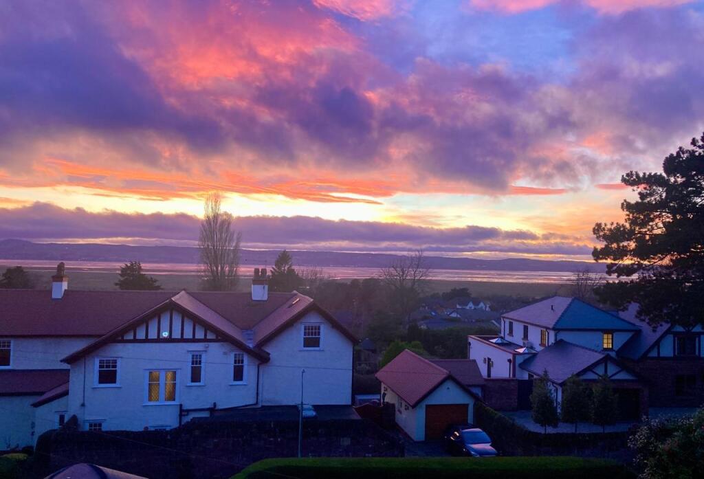 65afe798-d10d-4619-934c-f8bfaf542b71 2.JPG