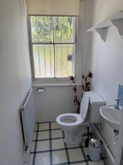 Toilet.jpg