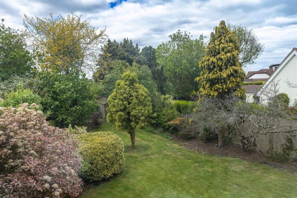 11 Lynceley  (24).jpg