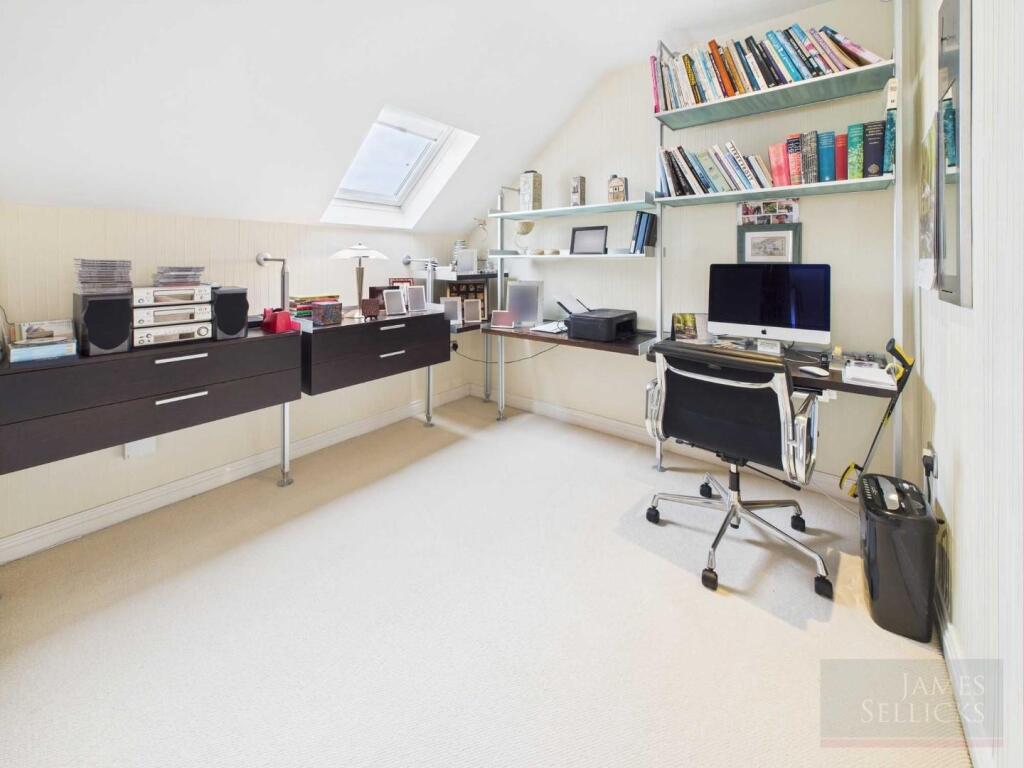 Study Area