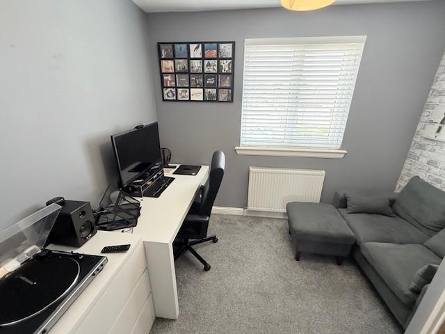33BR25.jpg