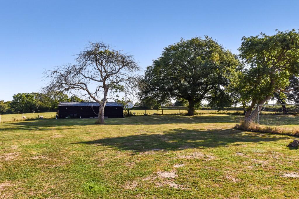 Paddock &amp; Barn