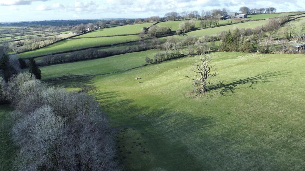 dji_fly_20250225_154510_967_1740498403606_photo_op