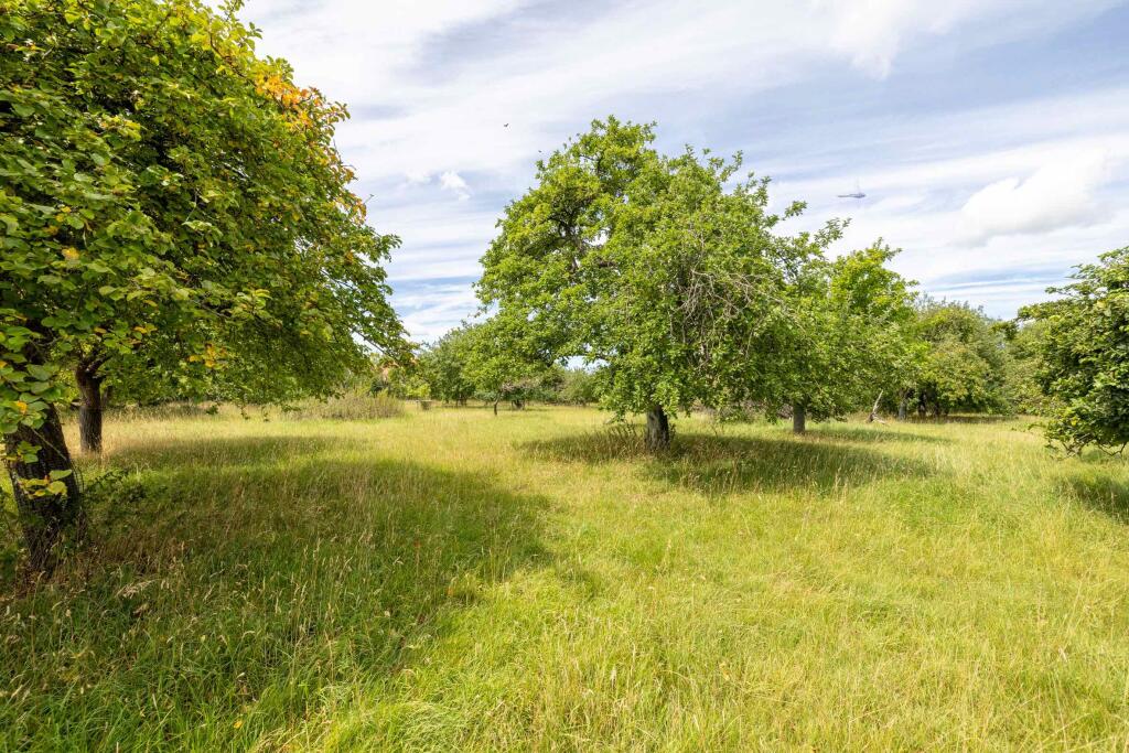 Schmaltings, Baltonsborough-31.jpeg