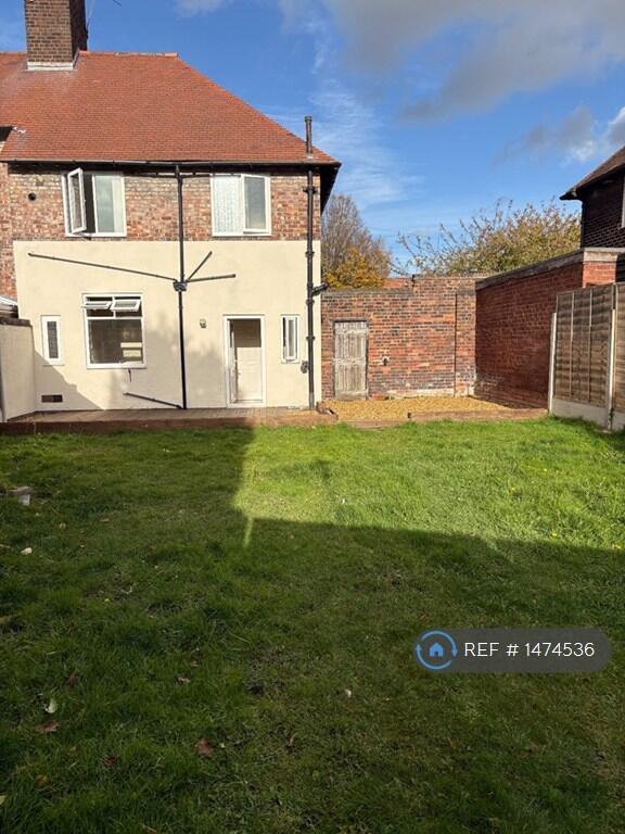Back Garden