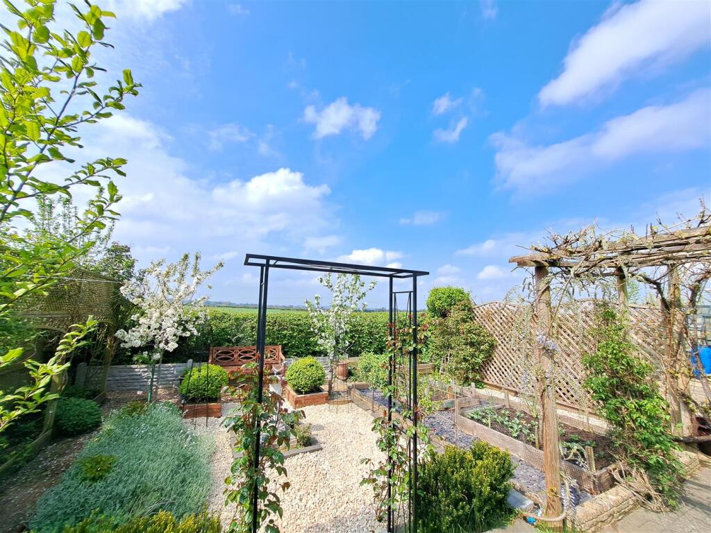 Garden.jpg