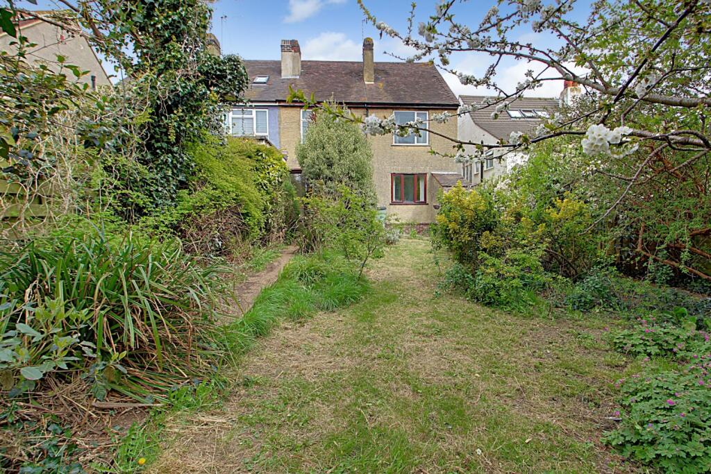 Back Garden 2
