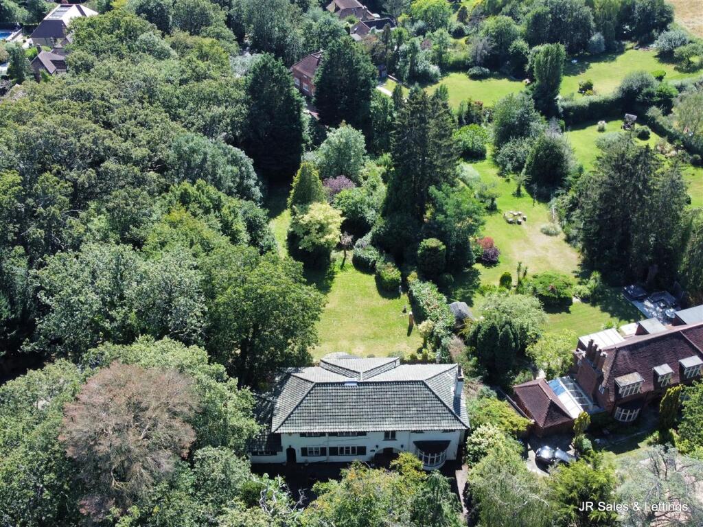 dji_fly_20240813_150416_523_1723557863655_photo_op