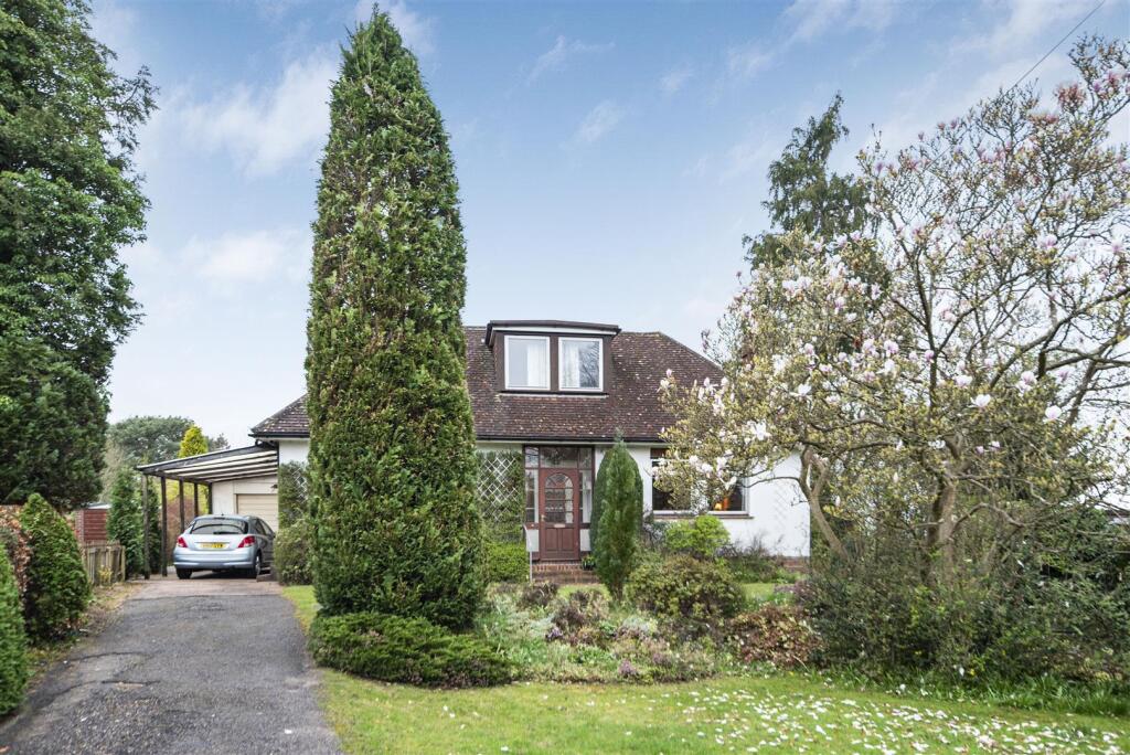 2024-03-26 16.41.57.JPG