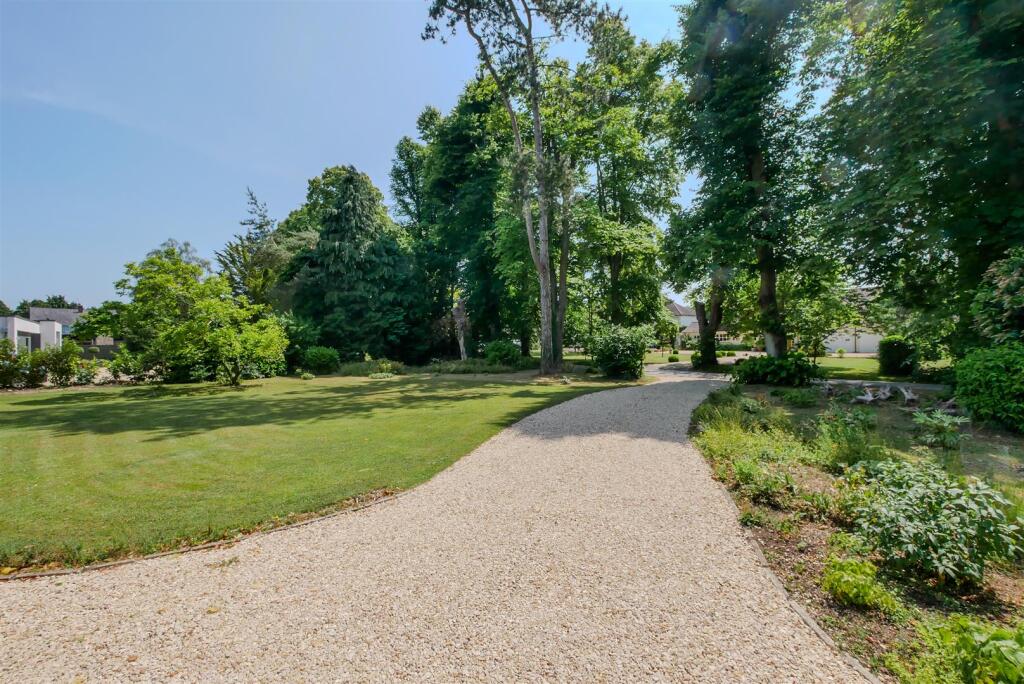 Driveway/Front Garden