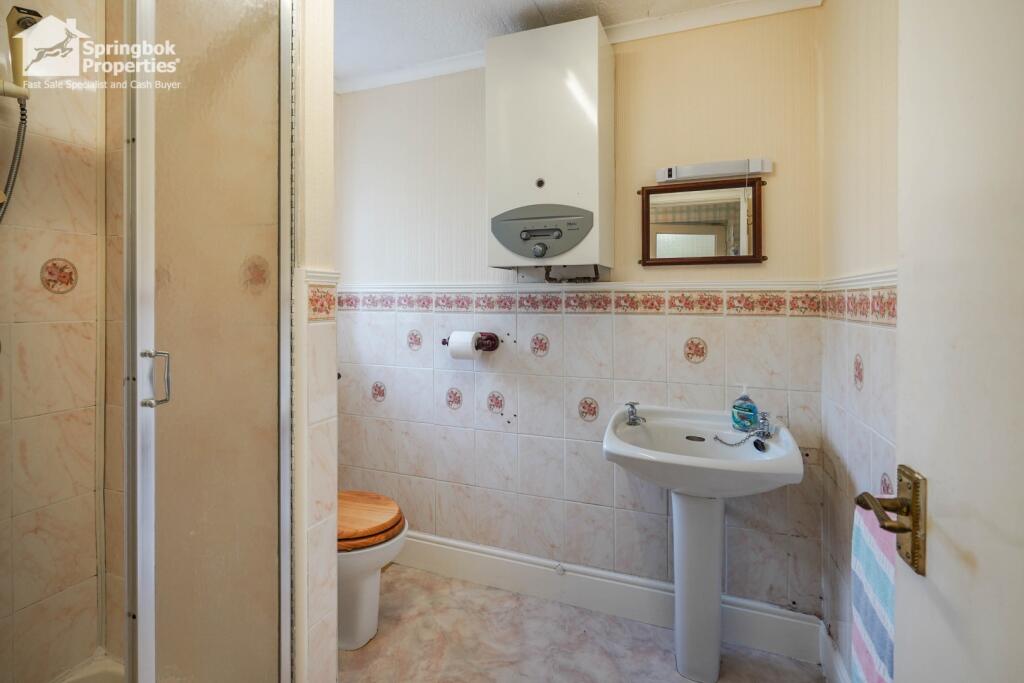 IMAGE 12