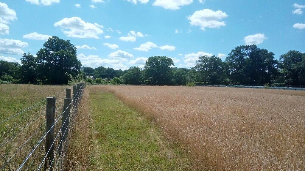 Fully fenced.