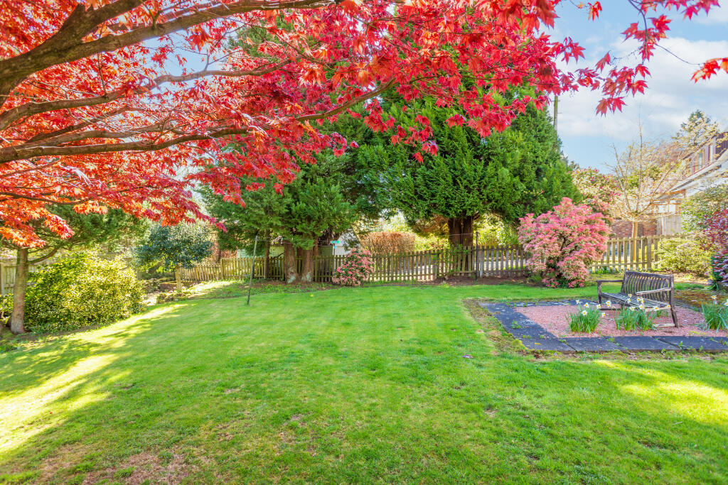 External - Rear Garden