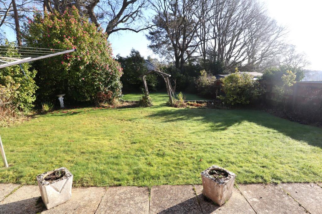 Picture No. 16