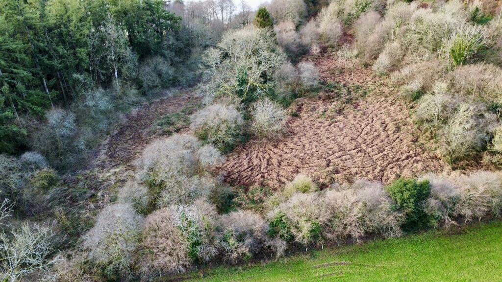 dji_fly_20241223_100918_54_1734948612815_photo_opt
