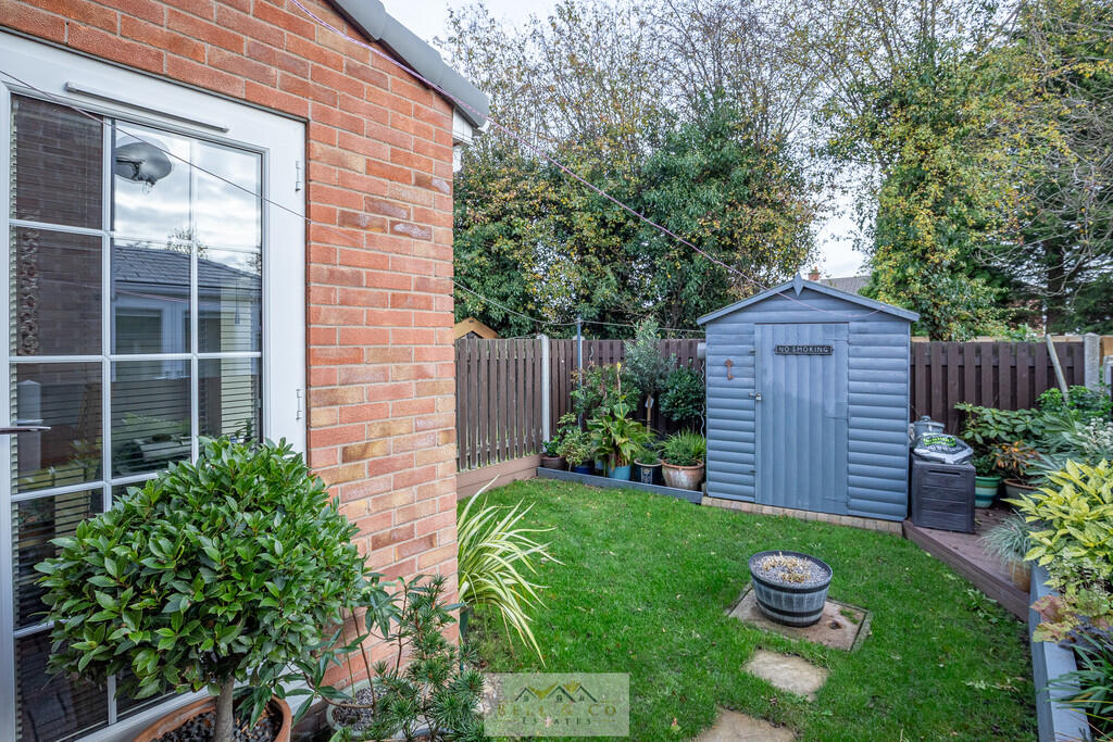 Back garden 1.1