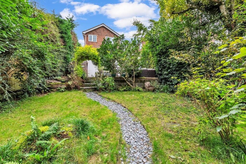 view back to house.jpg