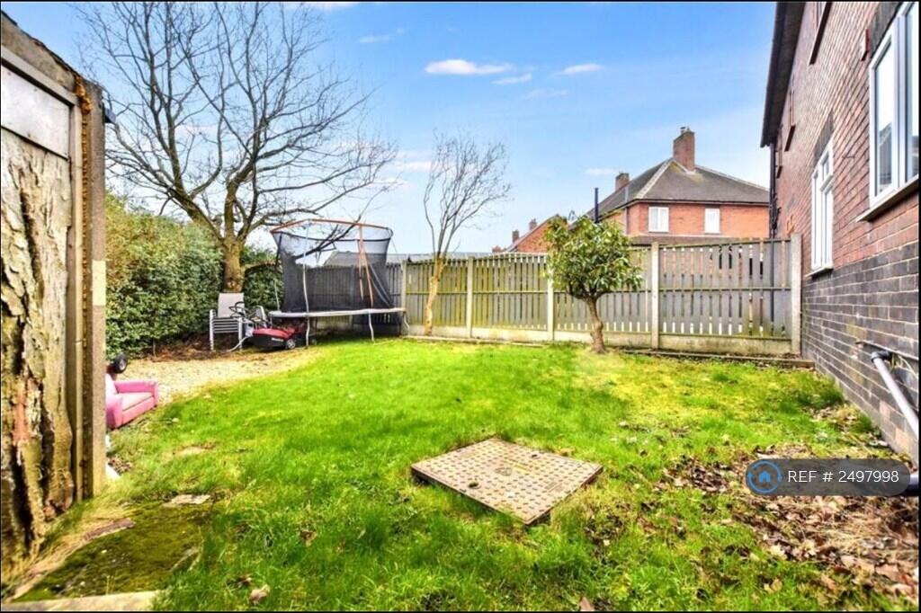 Back Garden 2