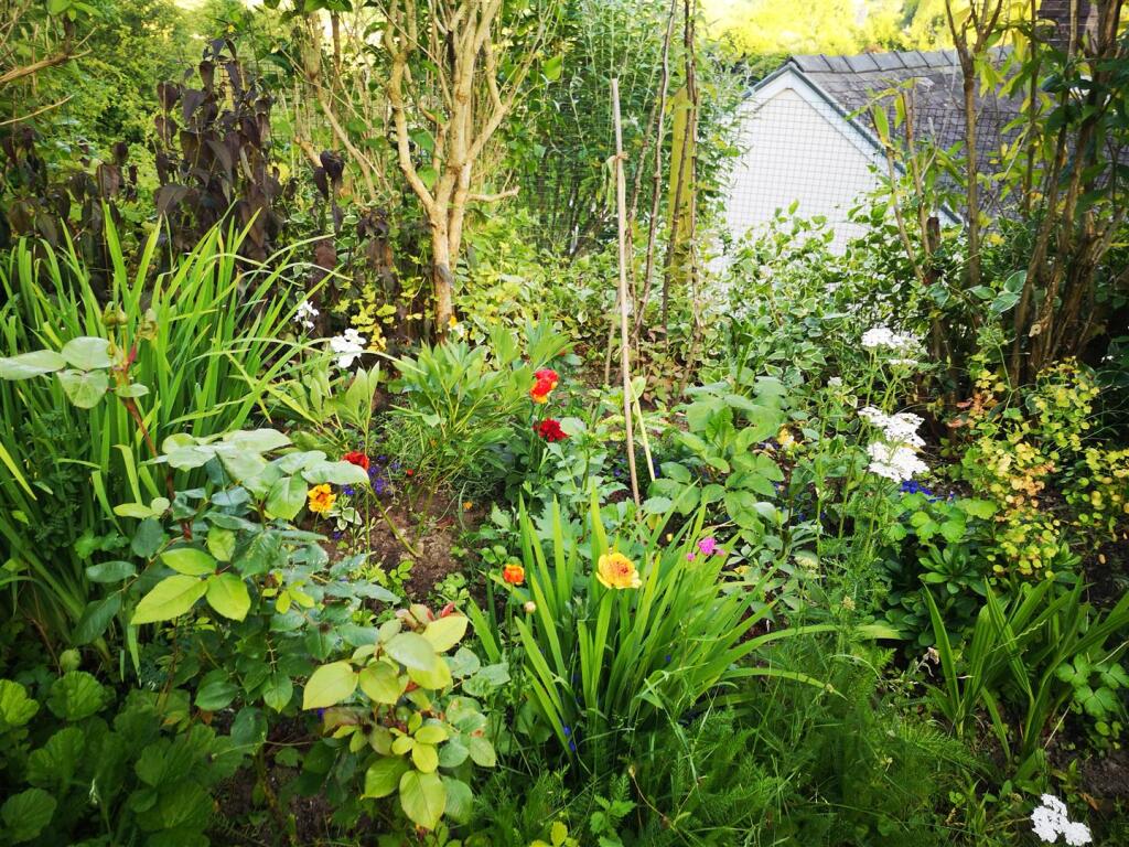 Garden 6.jpg