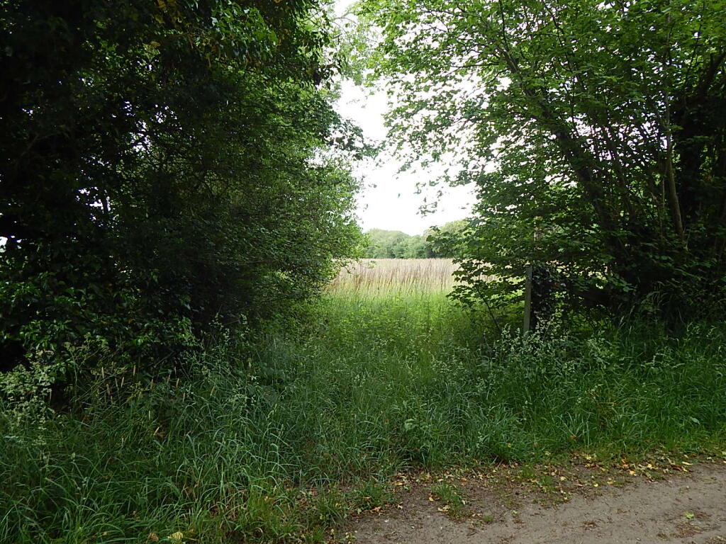 5 T202509241148.jpg