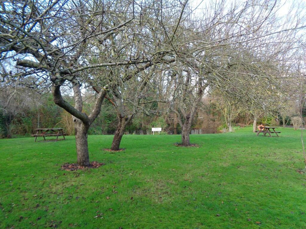 Regatta Court Ground