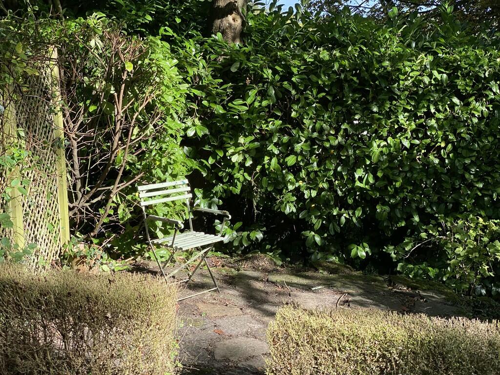 Garden 3