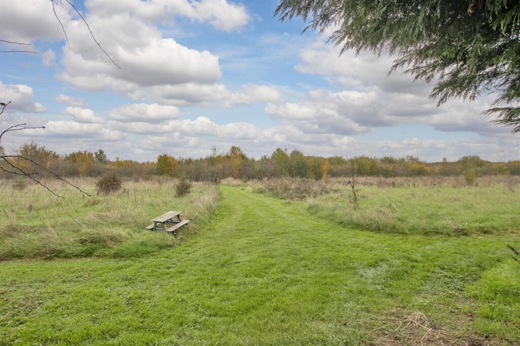 58049_013.jpg